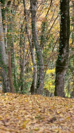 lifeinthevillage7 (@lifeinthevillage7)’s videos with Beanie - Piano Version - Penguin Piano