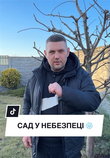 Як врятувати плодові бруньки від заморозків до -5°C?