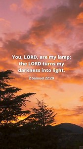 10K views · 263 reactions | The Promise of 2 Samuel 22:29 ✨ 2 Samuel...