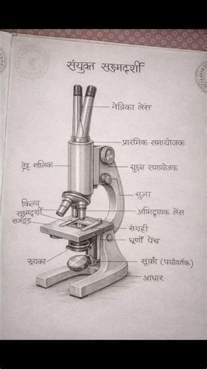 ये Microscope Drawing देखी क्या? 😱 | Biology Students Must Watch 🔬
