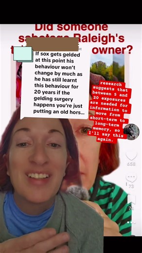 👀 gelding isn't isn't just about behavior. #gelding #stallion #horseworld #horsefacts #horse101