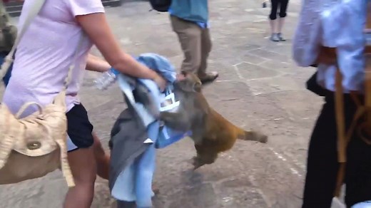 Angst, Deine Tasche zu verlieren? Mit V-Bag von Vodafone behältst Du immer im Blick, was Dir wichtig ist. | Vodafone Deutschland