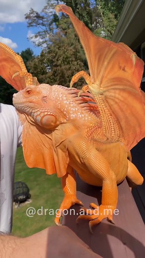 Dragons Are Real: Debunking the Myth