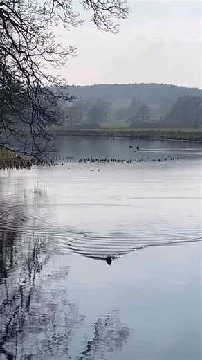 Mini rc tug boat travels towards edge of river at speed