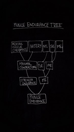 The Muscle Endurance Tree is a framework to progress clients from simple to more complex muscle endurance characteristics. ⁠ ⁠ Level 1️⃣ Muscle Endurance: The ability to contract muscles against resistance for high(er) volumes. Motor control is challenged by these contractions and quality is an important consideration.⁠ ⁠ Level 2️⃣ Strength Endurance: This is similar to muscle endurance, however, it is done at higher tension than muscle endurance. The limitation is overcoming load, and not motor