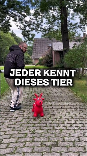 🦌 Wildlife documentary from Northern Germany... 😂 #Moin