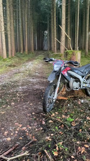 Understanding Bremsenreiniger for Aprilia RX70