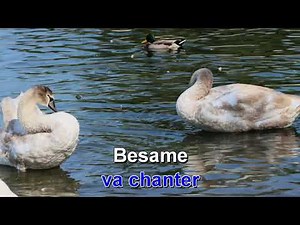 Karaoke Besame Mucho (4K+ French lyric)