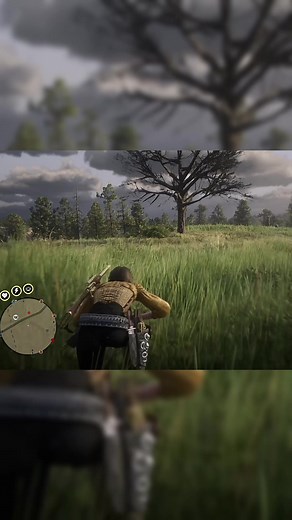 Funny Red Dead Redemption 2 Gaming Fails Compilation