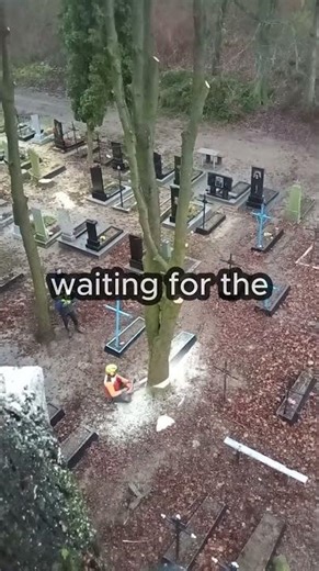 Tree cutter makes it happen saving the day!