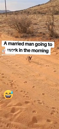 ferrari tv comedy (@ferraritvcomedy)’s videos with original sound - ferrari tv comedy