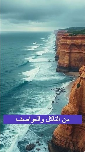 معلومات عن الشعاب المرجانية