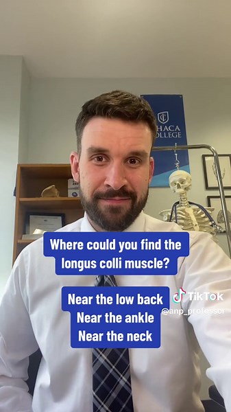 Who’s ready to get pumped up? #anatomy #muscle #humanbody #stemtok #nursesoftiktok #nursingstudent #physicaltherapy #doctorsoftiktok #fyp #foryoupage