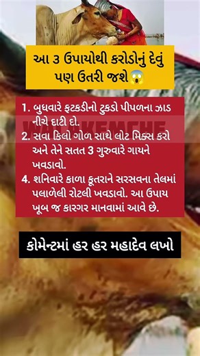 કરોડો નું દેવું ઉતરી જશે😱 l Motivation l કૃષ્ણ ભજન l Krishnabhajan #motivation #bhajan #short