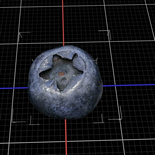 A blueberry. 90 stacks, 68 photos each. 1.48M splats. #3dgs