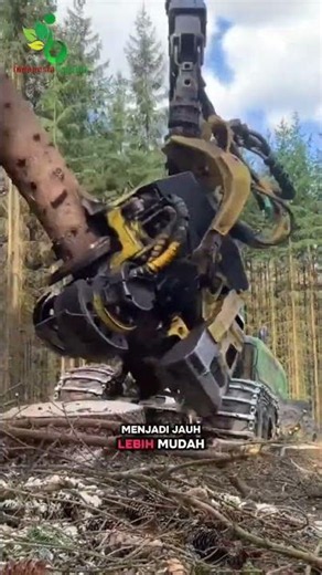 So This Is How Modern Wood-Cutting Machines Work!