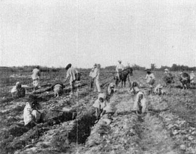 Importance of Filipino characteristics and Values System