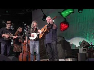 John Reischman & The Jaybirds - Strawberry Music Festival - Grass Valley, CA - May 22, 2025