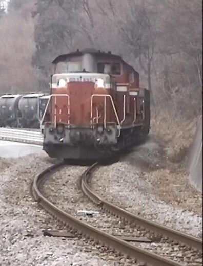 Ss82【DD51 895重連貨物列車】電化直後の八高線 記録 重連貨物