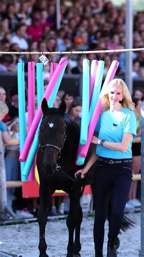 Jesse Drent, Daphne Draaft Door en meer helden op Horse Event YOUTH!