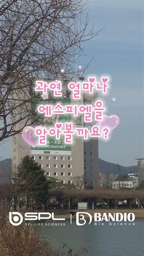[에스피엘] 건국대학교에 에스피엘이 떴다!