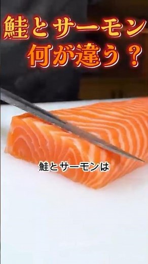 鮭とサーモンの違い？ #グルメ
