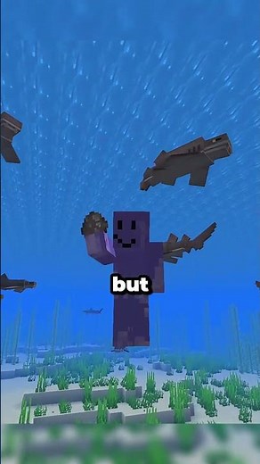 Feeding Sharks Can Actually Benefit You! #minecraft