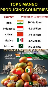 Top 5 Mango Producing Countries Who is the true "Mango King" of 2026? While dozens of countries grow this "King of Fruits," one nation produces nearly half of the entire world’s supply. In this video, we break down the latest global statistics for January 2026, revealing the top 5 producers by volume and the surprising leaders in the global export market. As of early 2026, global mango production has hit a historic 65 million metric tons. We explore how India maintains its massive lead with over