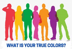 Everything You Need to Know About Personality Profiling