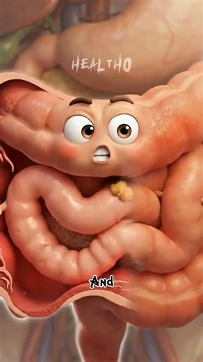 WHY IS THE INTESTINE ALWAYS INFLAMED #healthtips#guthealth#shorts