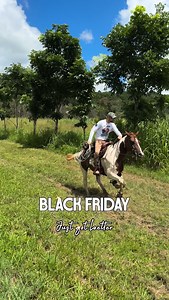 11K views · 304 reactions | Why pay full price? Seconds Hoof Boots = minor cosmetic quirks + major Black Friday savings. Get an extra 15% off with code BFSALE. Sale ends Nov 26 (Midnight MTZ). Grab your pair before they disappear! (Link in bio) | Renegade Hoof Boots | Facebook