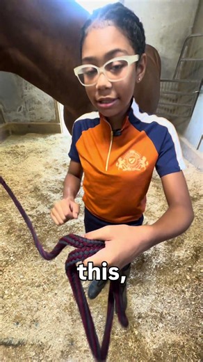 This is how to halter a horse. #horse #equestrianjourney #equestrian #horselife #equestrianlife