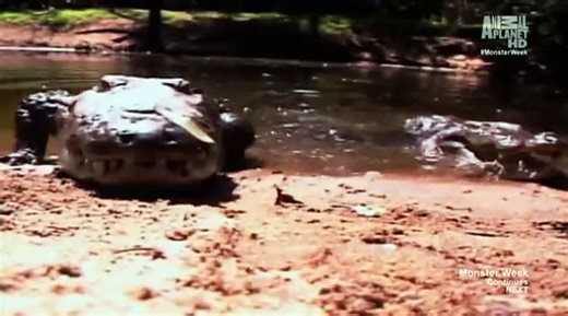 Man Eating Super Croc full documentary