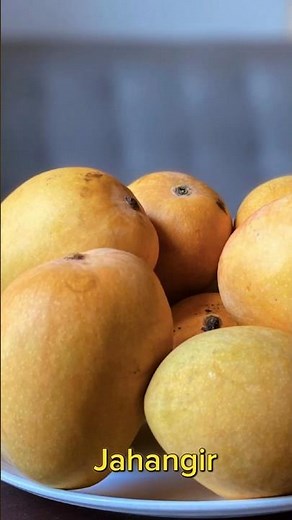 🥭 Types of Mangoes in India | Famous Varieties & Their States 🇮🇳