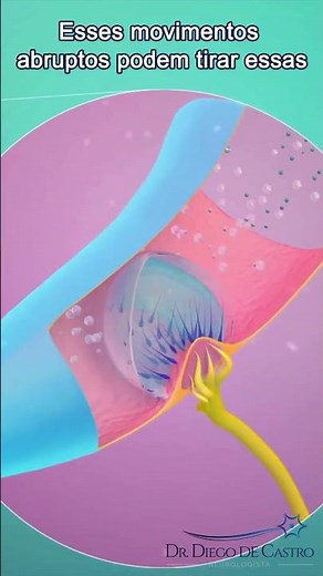 Vertigo: Why Does Your Ear Make the World Spin? | Dr. Diego de Castro, Neurologist