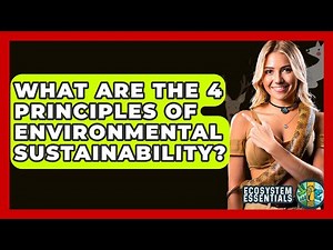 What Are the 4 Principles of Environmental Sustainability? - Ecosystem Essentials