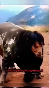 881K views · 21K reactions | Se transformo en un animal #paranormal #miedo | Proyecto Paranoia | Facebook