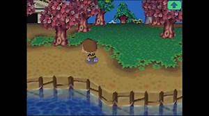 Animal Crossing: Wild World