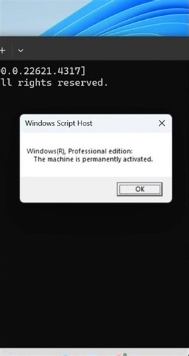 How to know if your Windows 10\\11 Check Activation Expiry