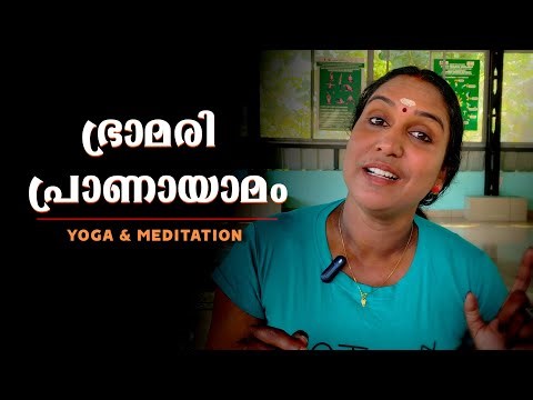 നിങ്ങൾക്കുറക്കമില്ലേ | ഭ്രാമരി പ്രാണായാമം | Bramari pranayam | Pranayamam Yoga | പ്രാണായാമം യോഗ