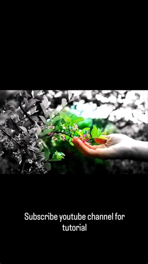 Black & White to Colourful transition effect ⚡️ #cinematic #capcut #cinematicediting