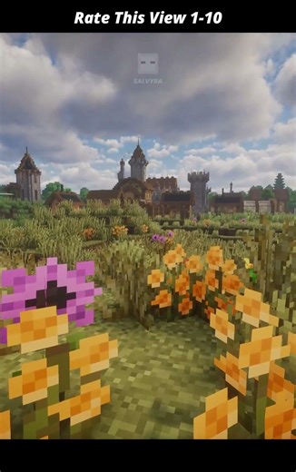 Rate This View 1-10 #minecraft