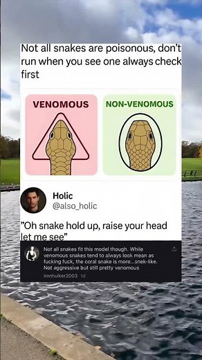 How To Tell If A Snake Is Venomous By Its Head Shape 🐍 #lifehacks #survival