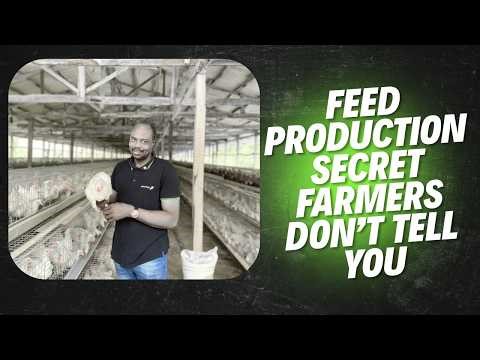 Poultry Feed Formulation Secrets for Faster Growth