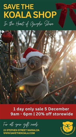 1.7K views · 28 reactions | 20% OFF at our Save The Koala Shop in Warialda – TODAY ONLY! Grab all your Christmas gifts at amazing prices, with every dollar helping to save our beloved Koalas! Lucky Dips from just $2 – perfect for stocking stuffers! Open until 6pm today at 23 Stephen Street, Warialda NSW. | Australian Koala Foundation | Facebook