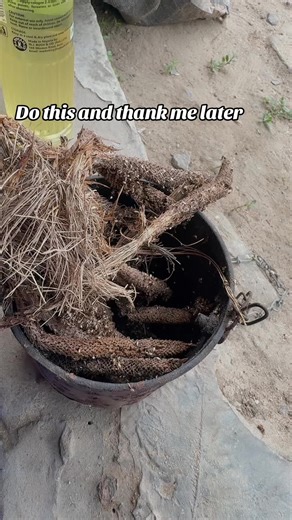 Discover Life-Changing Tips You Must Try