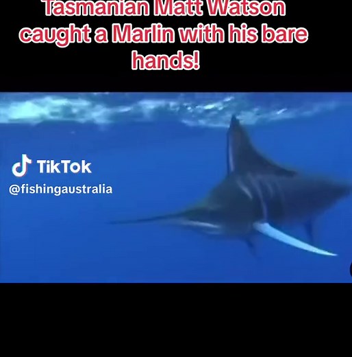 Matt Watson's Team Captures Epic Marlin with Bare Hands