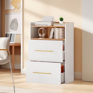 Dextrus 2 Drawer File Cabinet with Charging Station, Office Storage Filing Cabinet, White