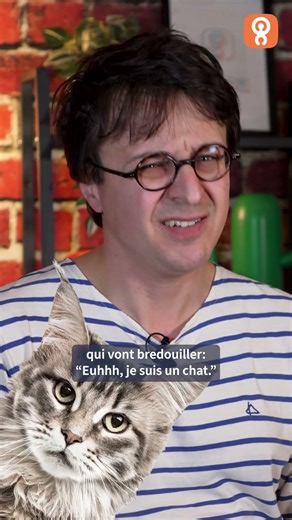 Déso, pas déso : les questions pièges, c'est naze