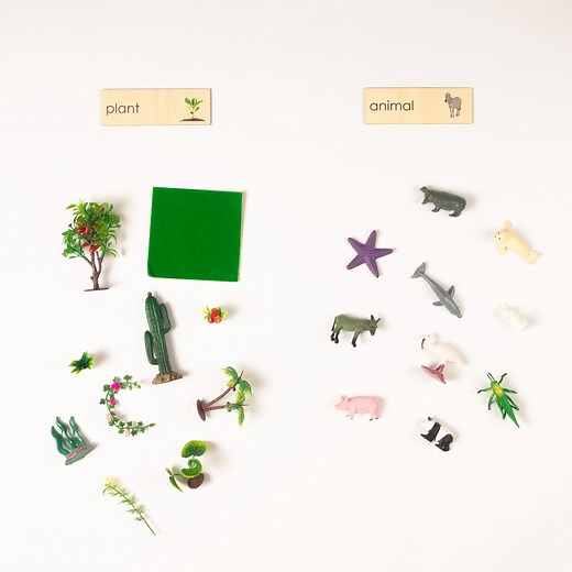 Plants Vs Animals Sorting Activity - Montessori Culture Classification Set - Etsy